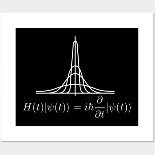 Schroedinger's Equation 2 Posters and Art